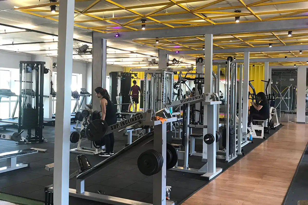 Gimnasio DreamFit Zaragoza  Arquitetura de academia, Arquitetura, Academia